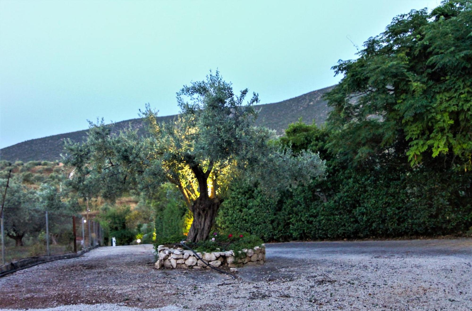 Villa Korina Metochi  Esterno foto
