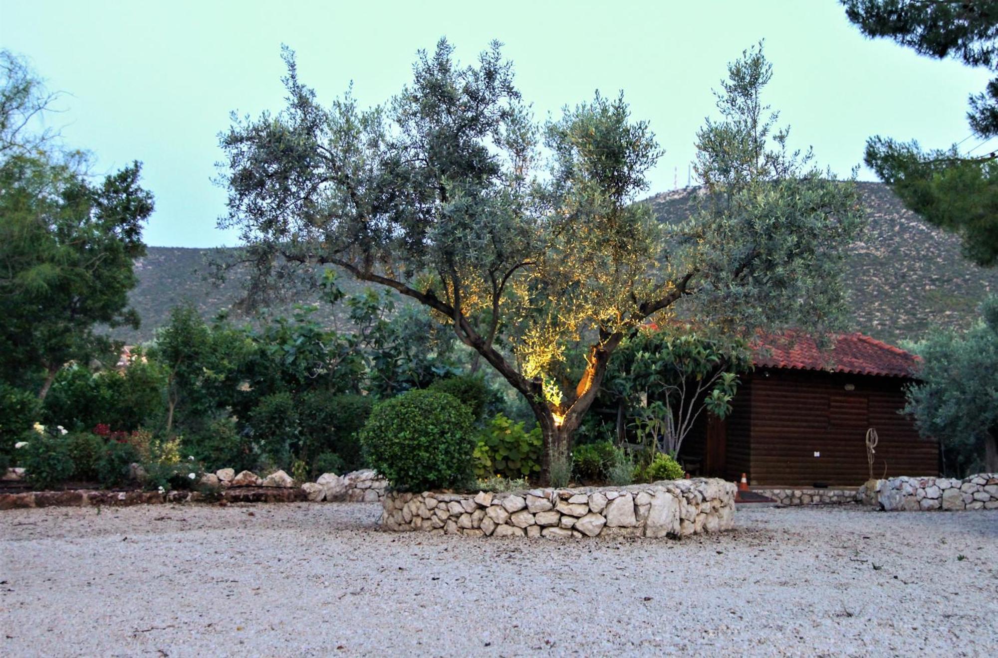 Villa Korina Metochi  Esterno foto