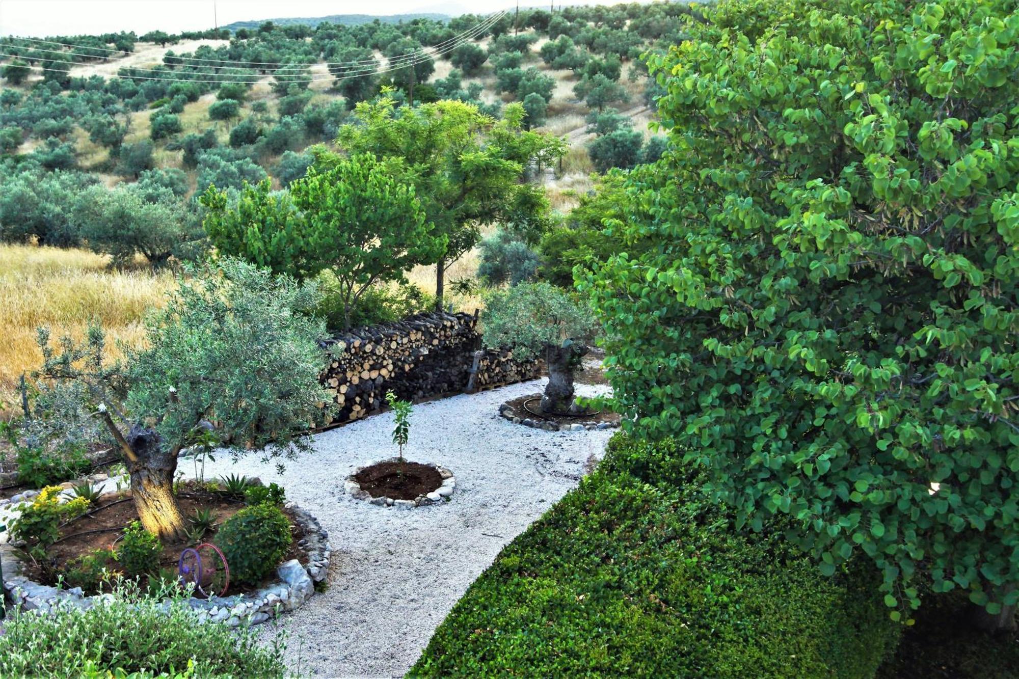 Villa Korina Metochi  Esterno foto