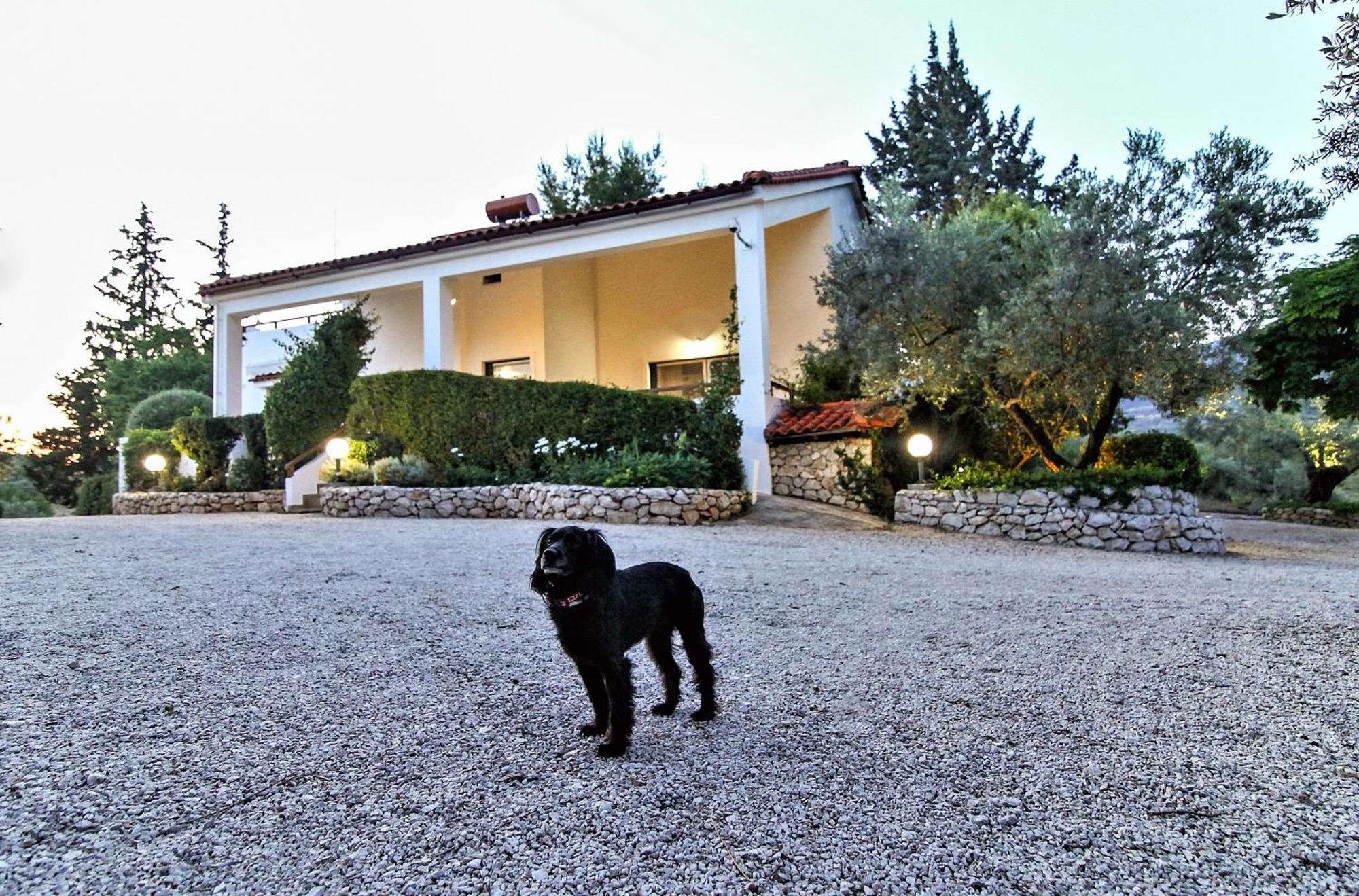 Villa Korina Metochi  Esterno foto
